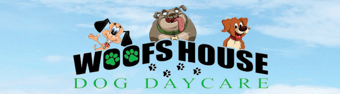 Woofs House Dog Daycare